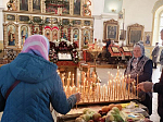 Радоница в Богучарском благочинии