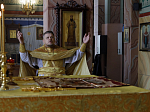 В день памяти Всех святых, в земле Российской просиявших, епископ Дионисий совершил Литургию в Ильинском кафедральном соборе города Россошь