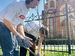 На территории воскресной школы при Троицком храме села Новая Калитва был высажен фруктовый сад