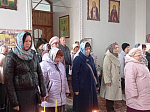 В селе Осетровка Верхнемамонского района соборно отметили престольный праздник