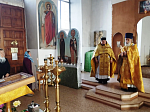 В день памяти апостола Фомы жители села Заброды Калачеевского района соборным богослужением духовенства отметили престольный праздник храма