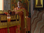 В Неделю 5-ю по Пасхе, о самаряныне, Правящий Архиерей возглавил воскресное богослужение в Свято-Ильинском кафедральном соборе города Россоши