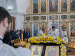 Архипастырский визит в Богучарское благочиние