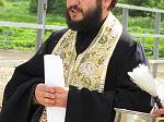 «День Доброй лошадки»