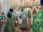 Епископ Россошанский и Острогожский Дионисий совершил Божественную литургию в храме Святого Духа с. Петренково Острогожского района