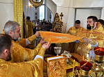 Правящий Архиерей возглавил престольное торжество храма во имя святителя Антония, архиепископа Воронежского и Задонского, в селе Александровка