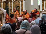 Паломническая поездка в село Терновое