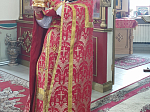 Свет Христов просвещает всех