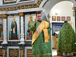 Вербное Воскресенье в Павловске