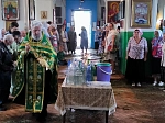 Приходы Павловского благочиния отметили День Святой Троицы праздничным богослужением