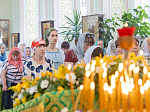 Епископ Россошанский и Острогожский Дионисий совершил Божественную литургию в храме Святого Духа с. Петренково Острогожского района