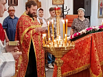 В ночь с 19 на 20 апреля торжественно прошли в храмах Павловского благочиния праздничные Пасхальные богослужения.