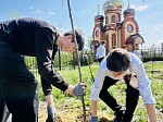 На территории воскресной школы при Троицком храме села Новая Калитва был высажен фруктовый сад