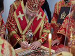 Епископ Дионисий сослужил митрополиту Воронежскому и Лискинскому Леонтию за Великим освящением и Божественной литургией в храме святых благоверных князей Бориса и Глеба, г. Борисоглебск