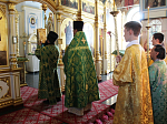 В Свято-Тихоновском соборном храме города Острогожска встретили праздник Пятидесятницы