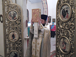 Рождество встретили в храме с. Митрофановка