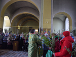 В Свято-Троицком храме Вербное воскресенье отметили молитвой