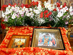 Молебен и крестный ход в день памяти образа «Живоносный источник»