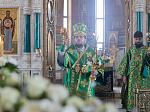 В праздник Входа Господня в Иерусалим епископ Дионисий совершил Божественную литургию в Ильинском кафедральном соборе Россоши