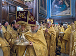 В семнадцатую годовщину интронизации Святейшего Патриарха Кирилла епископ Дионисий сослужил Предстоятелю Русской Православной Церкви в Храме Христа Спасителя
