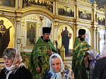 В Свято-Тихоновском соборном храме города Острогожска встретили праздник Пятидесятницы