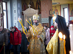Архиерейское богослужение в Неделю сыропустную