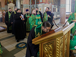 Глава Россошанской епархии возглавил служение молебна святым Петру и Февронии Муромским в Свято-Ильинском кафедральном соборе г. Россошь