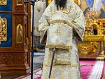 В Воронежской митрополии началось празднование памяти Собора Воронежских святых