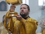 Правящий Архиерей совершил Литургию в Георгиевском храме села Терновое Острогожского района