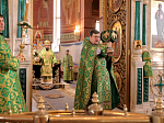 В праздник Входа Господня в Иерусалим Правящий Архиерей совершил Божественную литургию в Ильинском кафедральном соборе Россоши