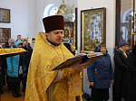 Епископ Россошанский и Острогожский Дионисий посетил Каменское благочиние