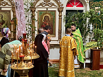 В праздник Пятидесятницы в храме села Терновое Острогожского района совершено торжественное богослужение