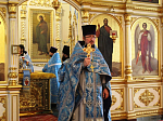 Участники Ильинского казачьего крестного хода с чтимой иконой Божией Матери «Спорительница хлебов» посетили Острогожское благочиние