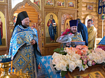 В храме в честь Рождества Пресвятой Богородицы с. Нижний Мамон торжественно отметили престольный праздник