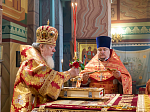Глава Воронежской митрополии совершил архипастырский визит в Россошанскую епархию
