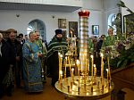 В Казанском храме Каменки молитвенно встретили Вербное воскресение