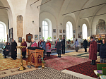 Соборная литургия в селе Петровка
