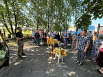 Жители села Терновое Острогожского благочиния помолились перед чтимой иконой Божией Матери «Избавительница от бед» (Ташлинская)