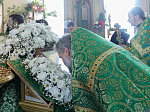 В праздник Святой Троицы Правящий Архиерей совершил Литургию в Свято-Троицком храме г. Россоши