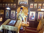 В день обретения честных мощей святителя Митрофана Воронежского в Богучарском благочинии молитвенно отметили престольный праздник на двух приходах