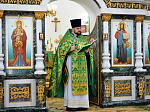Приходы Павловского благочиния отметили День Святой Троицы праздничным богослужением