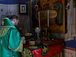 В праздник Входа Господня в Иерусалим глава Россошанской епархии совершил Литургию в Свято-Ильинском кафедральном соборе города Россоши