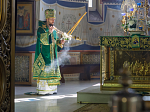 В праздник Входа Господня в Иерусалим глава Россошанской епархии совершил Литургию в Свято-Ильинском кафедральном соборе города Россоши