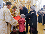 Архипастырь возглавил торжества, посвященные 20-летию со дня Великого освящения храма во имя святителя Митрофана, первого епископа Воронежского села Верхний Мамон