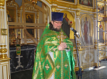 Праздник входа Господня в Иерусалим в Тихоновском соборном храме Острогожска