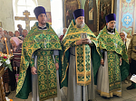 Престольный праздник Александро-Невского храма г. Россошь