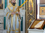 В праздник Крещения Руси епископ Дионисий совершил Божественную литургию в Свято-Ильинском кафедральном соборе города Россоши
