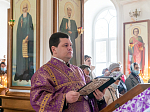 Правящий Архиерей возглавил богослужение в Спасо-Преображенском Толшевском женском монастыре