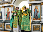 Вербное Воскресенье в Павловске