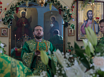 В праздник Святой Троицы Преосвященнейший епископ Дионисий совершил Литургию в Свято-Троицком храме города Россоши